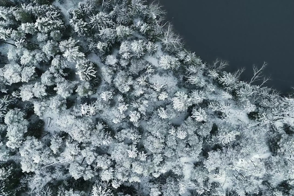 Cover image for Bittersweet: How Sorrow and Longing Make Us Whole