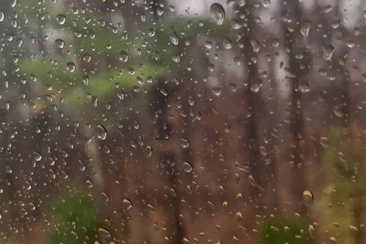 Cover image for The Midnight Library: You don't have to understand life. You just have to live it.