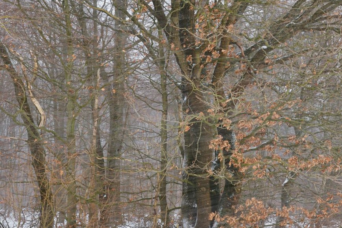 Cover image for The Gifts of Imperfection