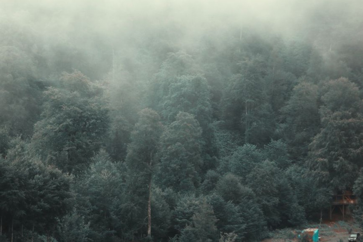Cover image for Set Boundaries, Find Peace