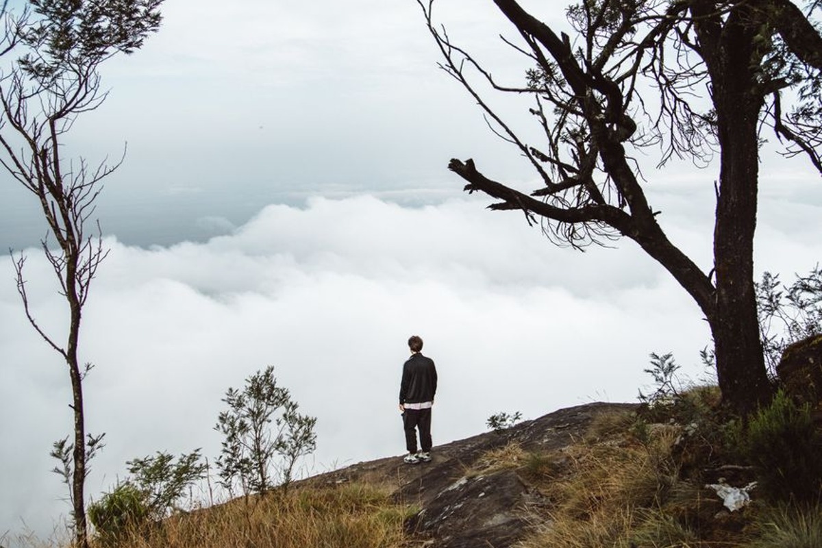 Cover image for The Power of Vulnerability: Teachings on Authenticity, Connection, and Courage