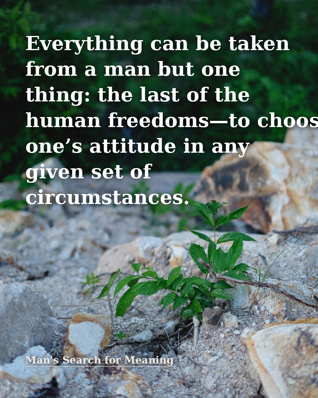 Quote illustration for Man's Search for Meaning