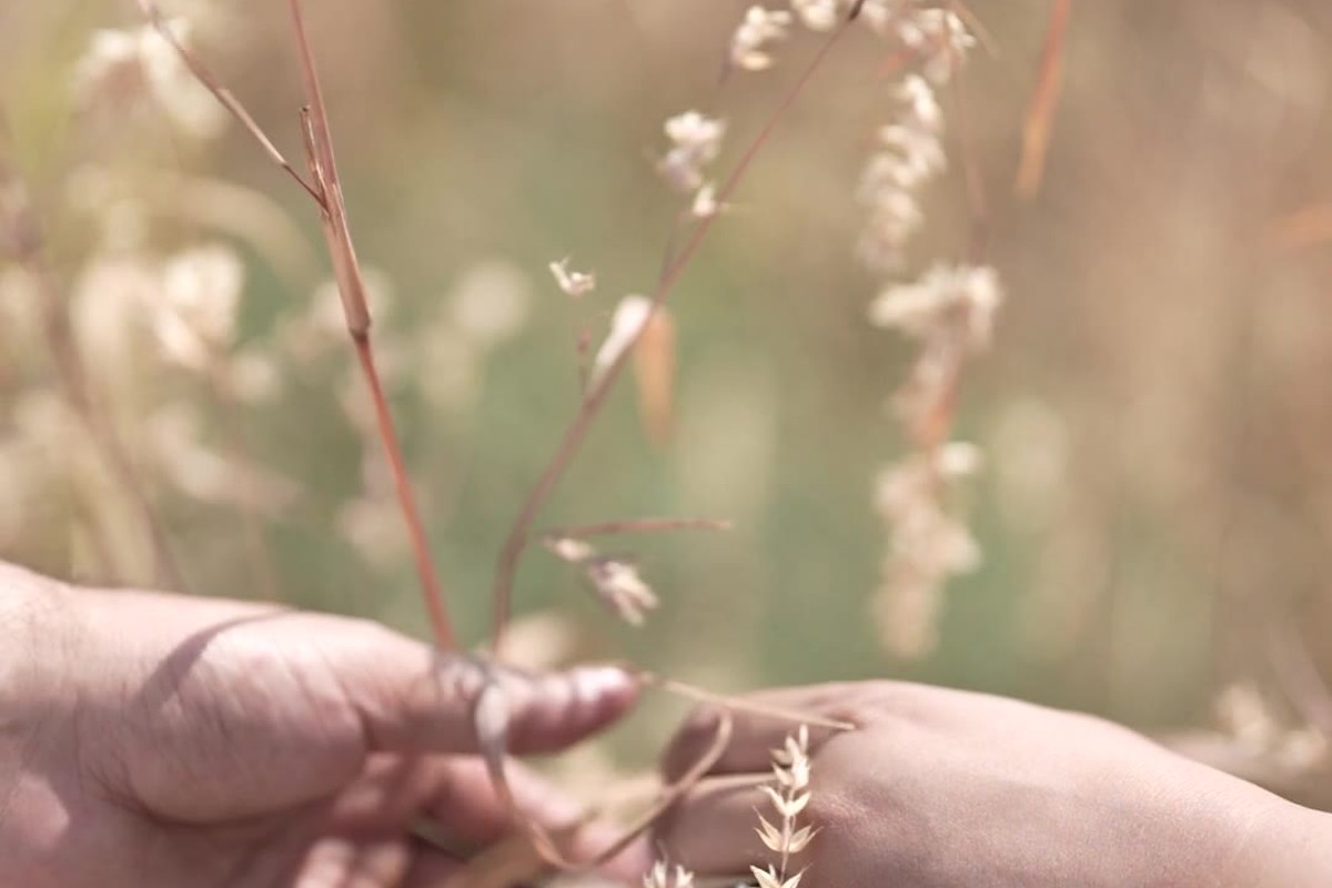 Cover image for The Balancing Act: Creating Healthy Dependency and Connection Without Losing Yourself: Boundaries are not rigid walls, but flexible agreements that protect your energ…