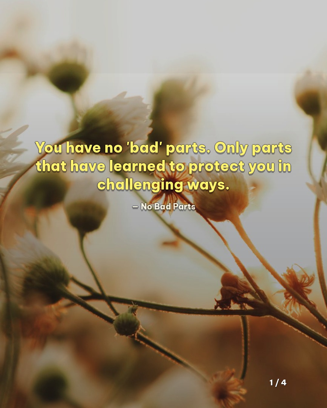 Slide 1 for No Bad Parts